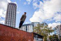 British Photography Awards 2020